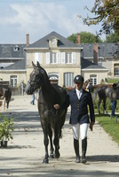 Bienvenue à l'écurie de la forêt